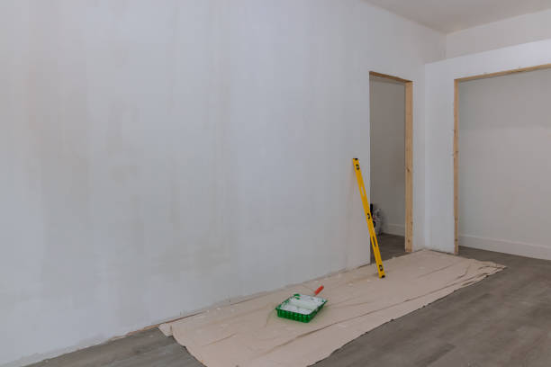 Best Fire-Damaged Drywall Repair  in Crescent City, FL