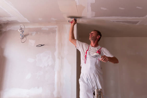 Best Ceiling Drywall Installation  in Crescent City, FL